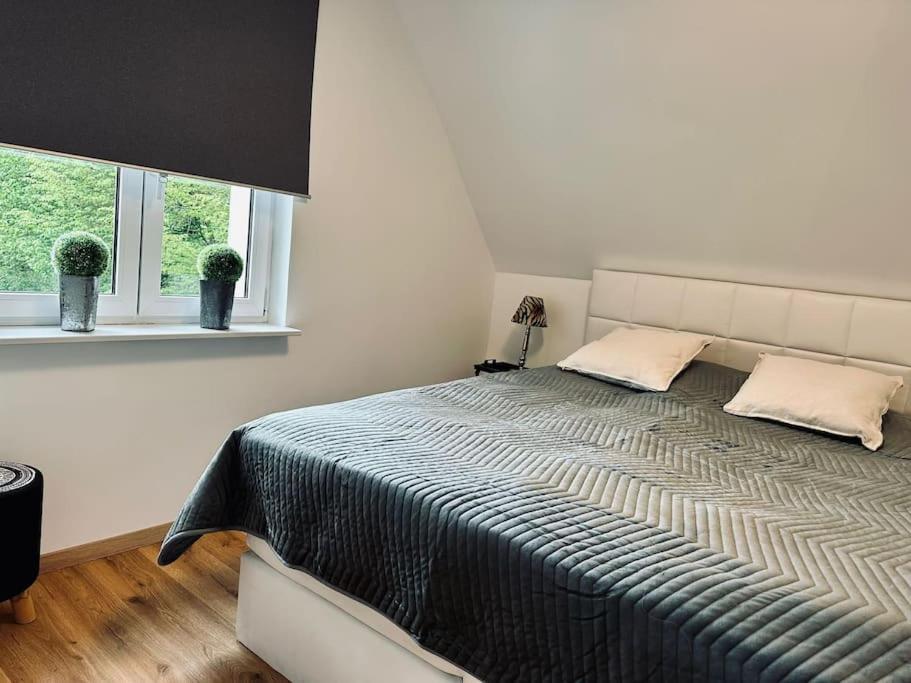 Moderne Ferienwohnung Zweifall Stolberg  Bagian luar foto